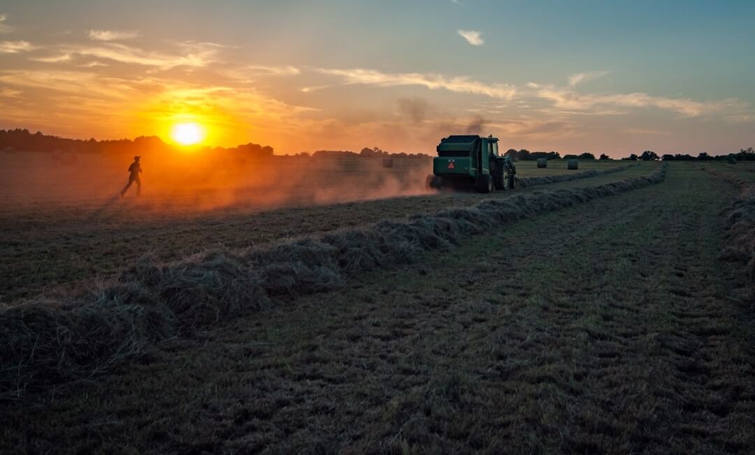 Bönder får hjälp från oväntat håll