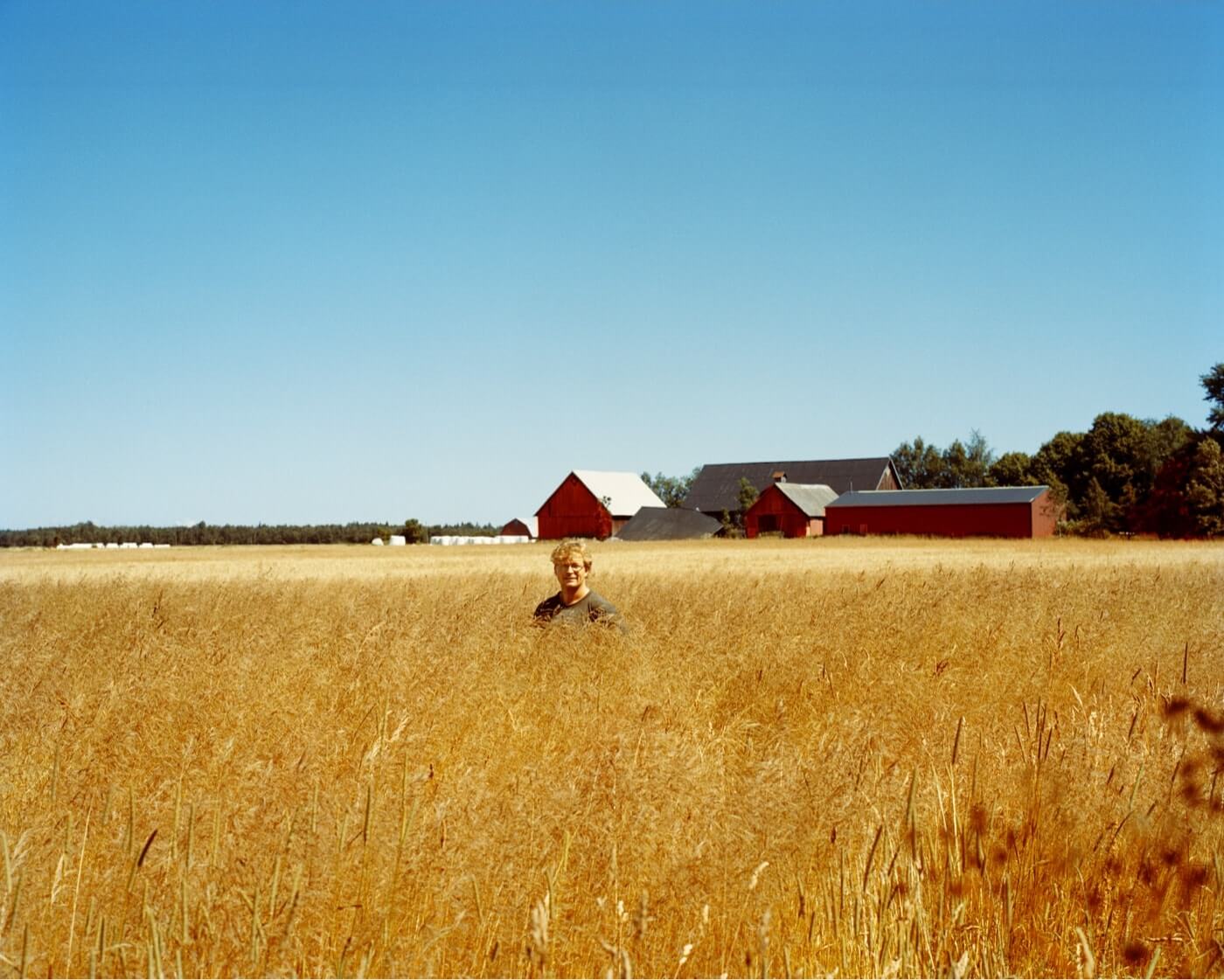 Felaktiga uppgifter i media om Bondelånet